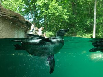Tiergarten Nürnberg mit Hotel