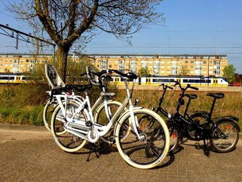 4 Tage Auszeit in der malerischen Stadt Zaandam