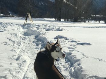 7 Tage Skifahren im Chiemgau