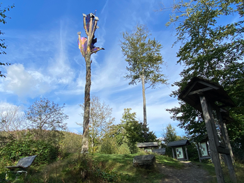 Bild 65 von 122