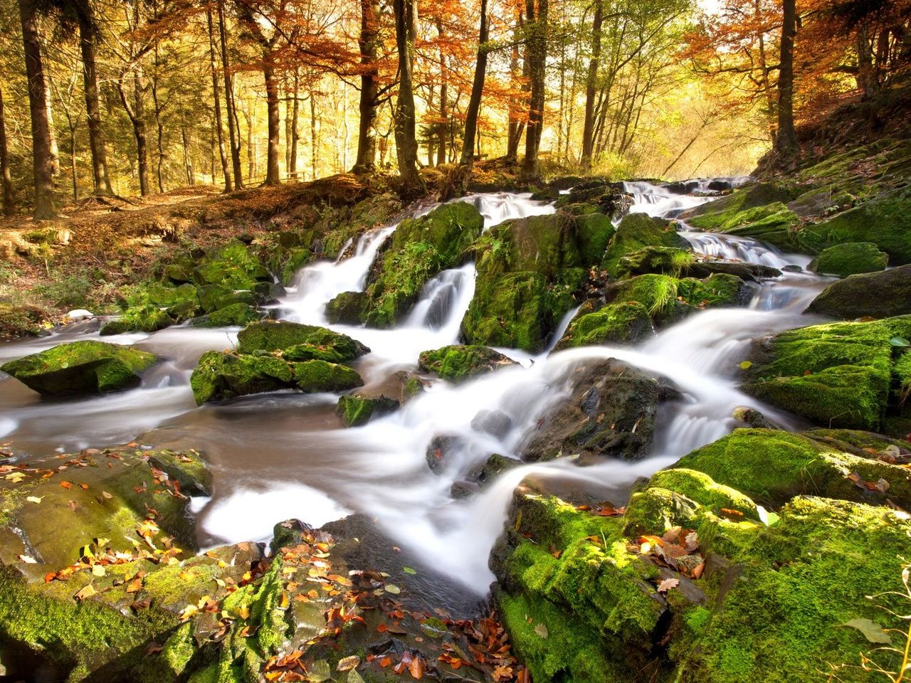 Pfingstzauber im Harz