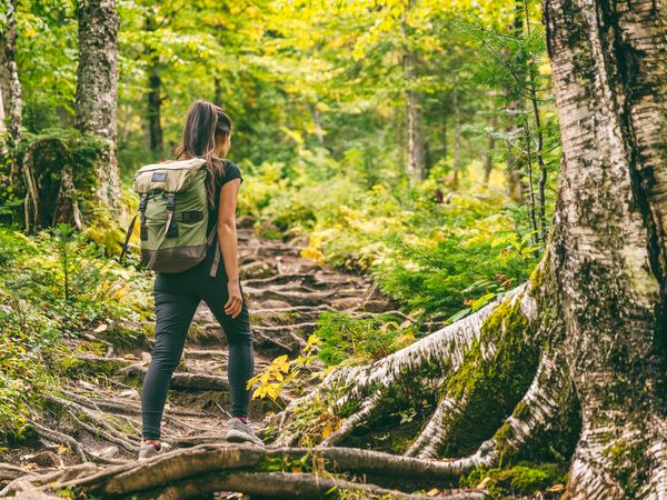 9 Tage die Umgebung des Salzachtals erkunden Lukasmayr Hotel in Bruck an der Großglocknerstraße, Salzburg inkl. Halbpension