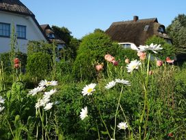 2 Tage in der jüngsten Stadt Rügens mit Frühstück