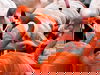 Tierisches Familien-Abenteuer Zoo Dresden - 4 Tage