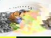 Fahrradurlaub rund um Kiel & Wellness