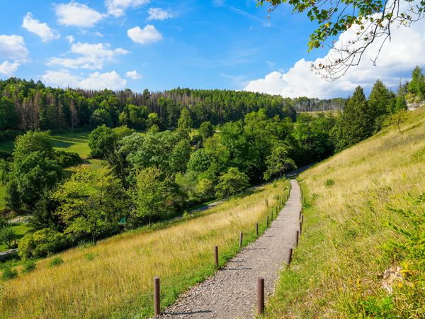 5 Tage Urlaub im Harz - inkl. Halbpension in Bad Lauterberg, Niedersachsen inkl. Halbpension Plus