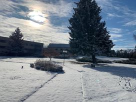 Prosit Neujahr! - Silvesterzauber in Wandlitz