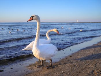 Entspannungszeit in Swinemünde - 4 Tage