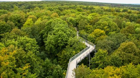 Nationalpark Hainich