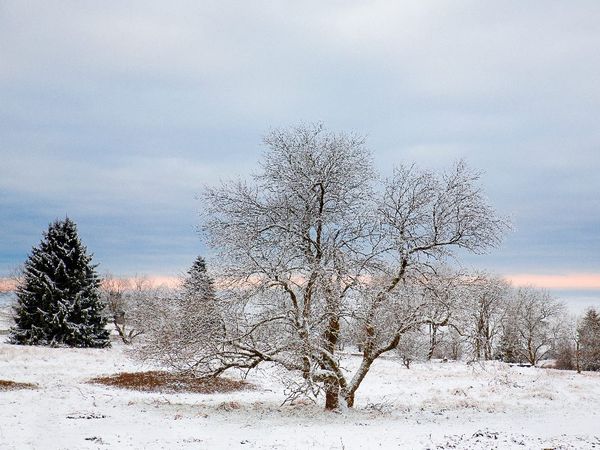 2 Tage Wintertage im Vogelsberg in Schotten, Hessen inkl. Halbpension