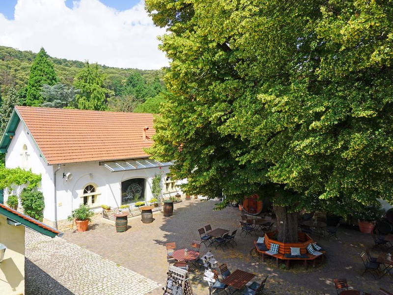 Weinpatenschaft in der Pfalz - Wochenendspecial