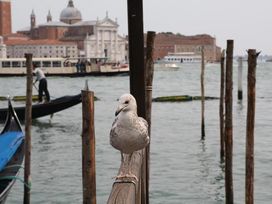 4 Tage zwischen Meer und Therme - Erholsames Bibione