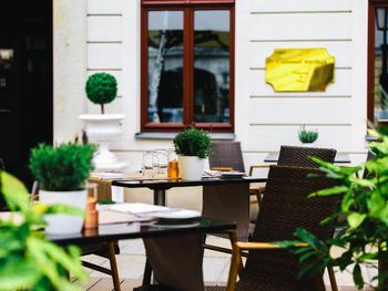 2 Tage in Dresden mit Frühstück