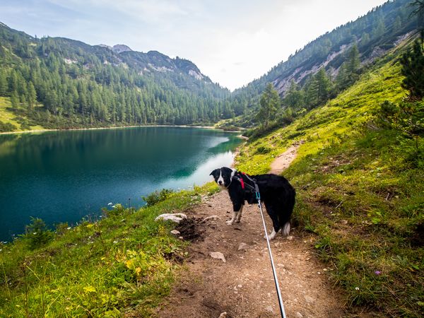 Entspannung im Pongau – 4 Tage mit AI in Altenmarkt im Pongau, Salzburg inkl. All Inclusive