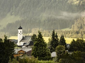 Willkommen in Schoppernau - Aktiv und Kulinarik