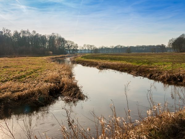 5 Tage Wellness & Naturidylle im Drentsche Aa Park in Zeegse Halbpension