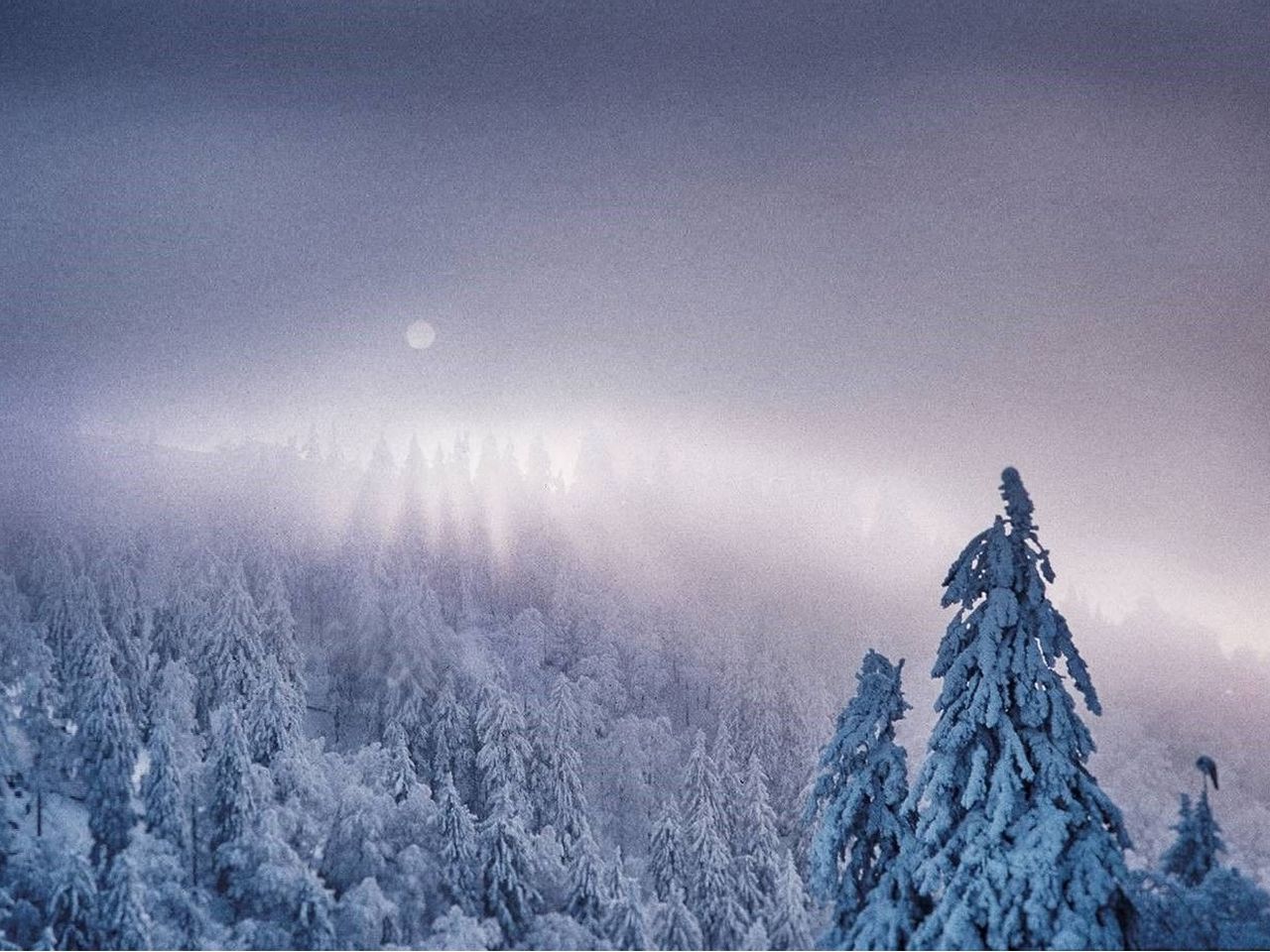 Weihnachtsziit - schöne Ziit