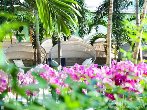 Wellness Auszeit – in der Therme Sinsheim – 7 Tage in Walldorf Frühstück