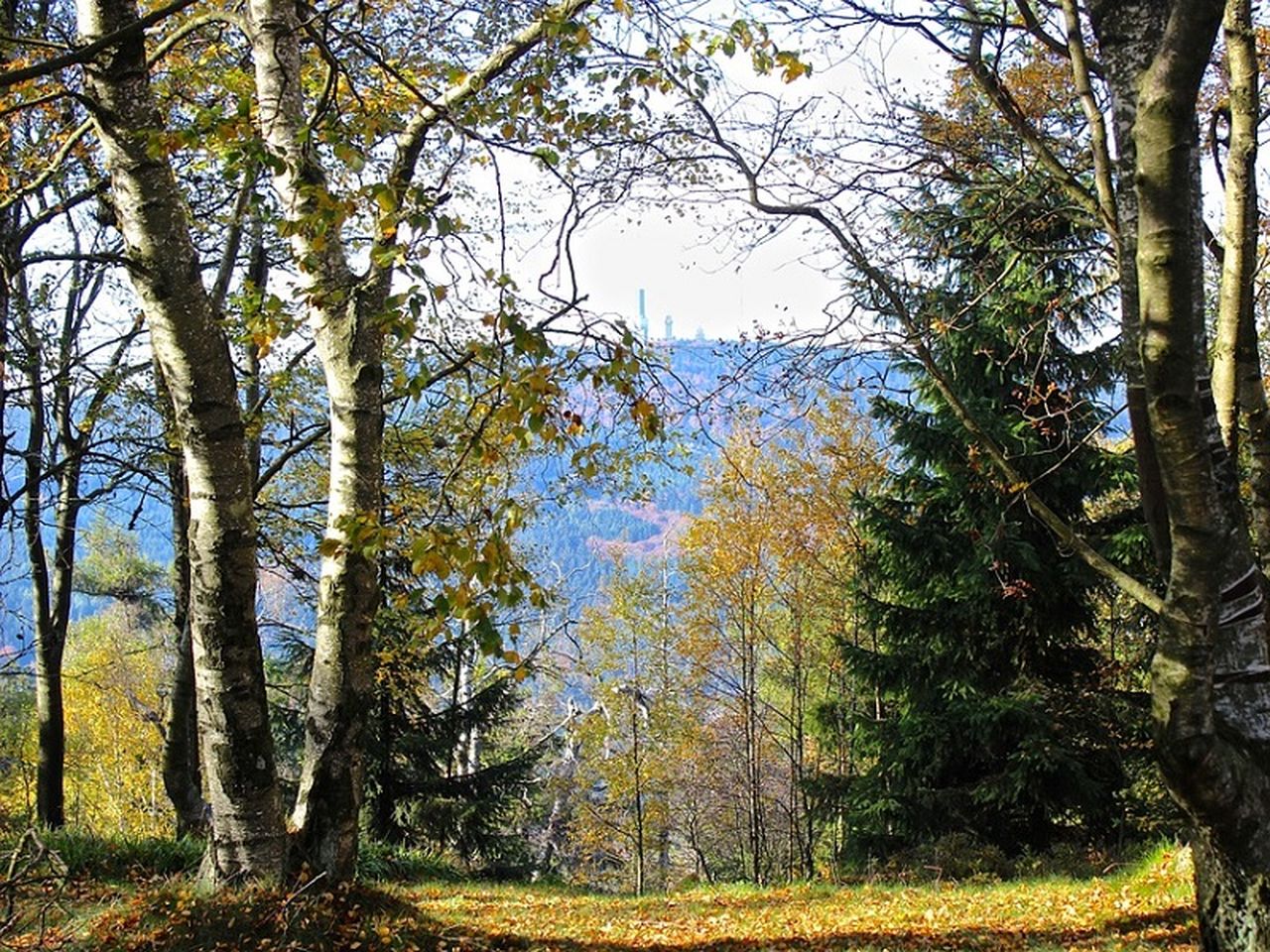 Kurluft schnuppern in Bad Soden | 4 Tage