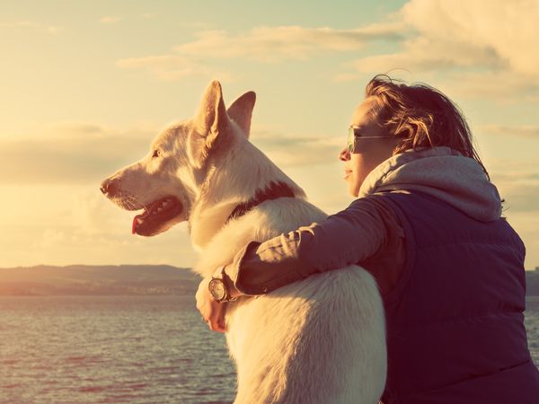 Urlaub mit Hund am Naturparadies Bodensee  | 8 Tage - Seehotel am Kaiserstrand in Lochau inkl. Frühstück