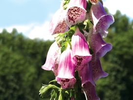 Veluwe Auszeit im Hotel De Paasberg – 3 Tage