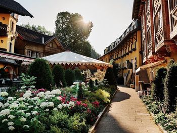 Wellness-Kurzurlaub vom Feinsten Schladming | 3 Tage