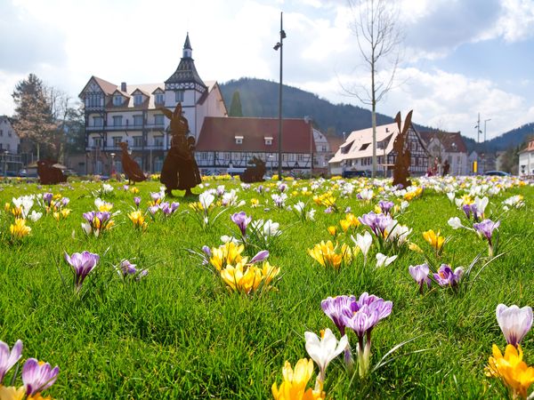 6 Tage Urlaub im Schwarzwald für Erholungssuchende in Bad Herrenalb, Baden-Württemberg inkl. Halbpension