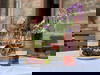 3 Tage im Unstruttal im Schloss Zingst