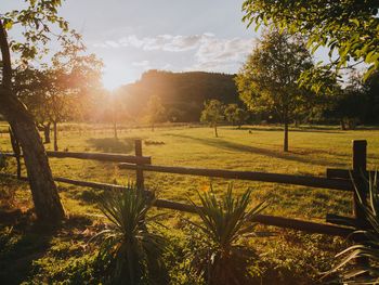 3 Tage Kurzurlaub im malerischen Ruwertal nahe Trier