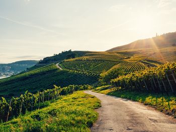 Biker-Spaß - 2 Tage mit dem Motorrad durchs Neckartal