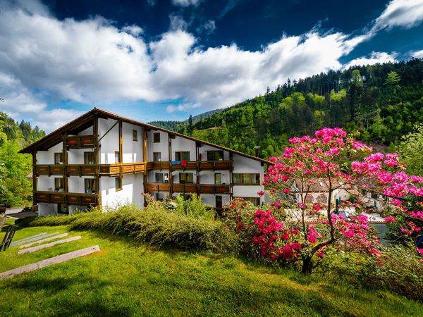 7 Tage Holzschuh´s SPA-Wohlfühlwoche mit veganer Verpflegung in Baiersbronn, Baden-Württemberg inkl. Halbpension