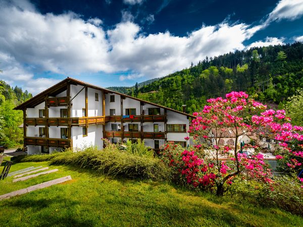 3 Tage Tapetenwechsel im Schwarzwald mit veganer Halbpension in Baiersbronn, Baden-Württemberg inkl. Halbpension