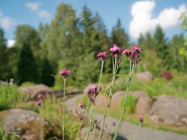 3 Tage Harz-Schnäppchen inkl. Halbpension Plus