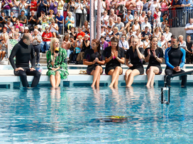 ZDF Fernsehgarten mit Ticket und Hotel