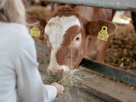 Wellness-Kurzurlaub vom Feinsten Schladming | 3 Tage