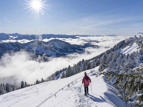 7 Tage im Herzen der Provinz Salzburgs i...