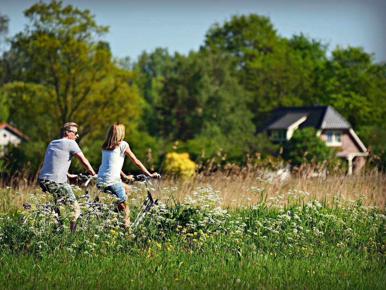 Die Ostfriesische Radtour - 3 Tage
