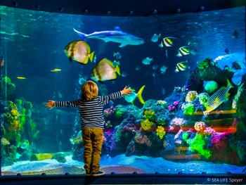 Atemberaubende Familienauszeit im SEA LIFE Speyer