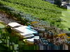 Fröhliches Wochenende in Rüdesheim