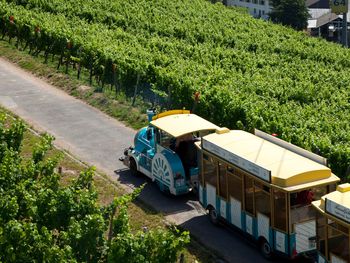 Rüdesheim vom Schiff erleben inkl. Weinprobe