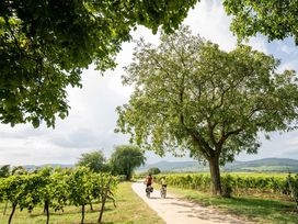 Wanderurlaub Pfälzerwald inkl. Halbpension | 5 Tage