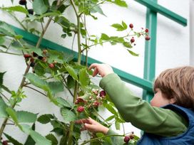 3 Tage Wellness & Aktivurlaub mit HP