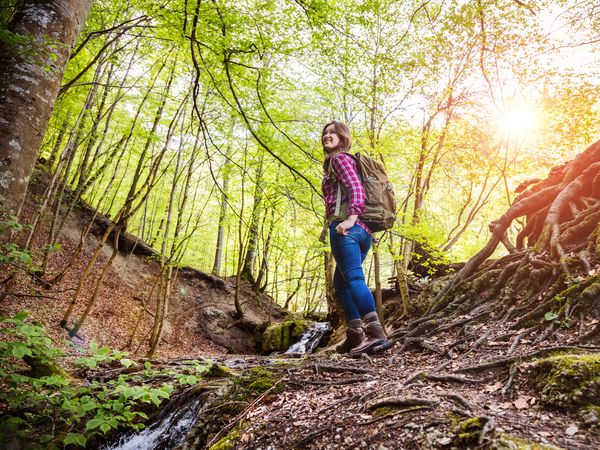 9 Tage im schönen Kärnten verbringen mit HP in Radenthein OT Döbriach inkl. Halbpension