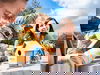 4 Tage BEECH Resort Fleesensee