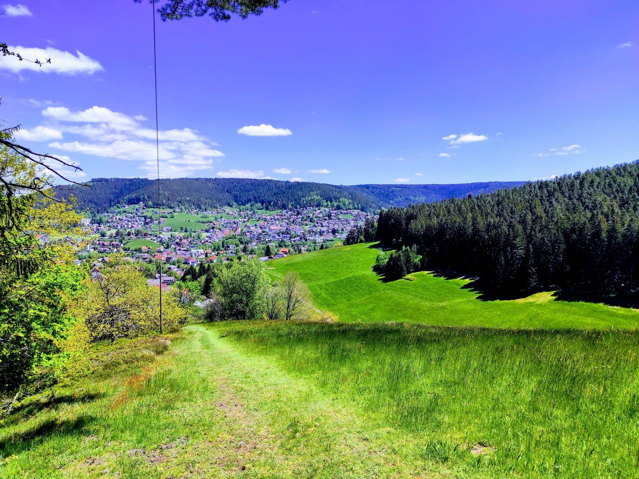 Wanderfreuden im Schwarzwald entdecken