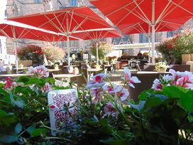 Freiburg: Geschichte erleben – mitten in der Stadt