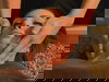 3 Tage im Hotel Zuiderduin mit HP