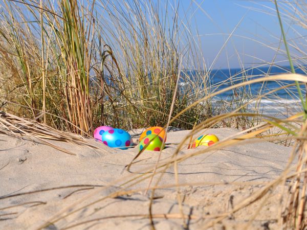 3 Tage Osterspecial  – 3 Nächte, Frühstück, Dinner „All In“ in Ostseebad Breege-Juliusruh, Mecklenburg-Vorpommern inkl. Halbpension