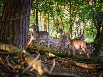 3 Tage Natur: Genuss und Erholung am Bodensee