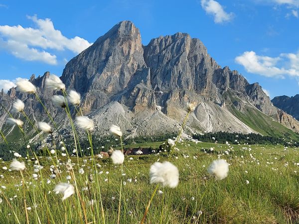 5 Tage Dolomiten erleben und Ruhe genießen in Untermoi, Trentino-Südtirol